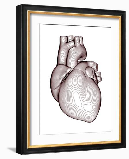 Contour Map of the Heart-PASIEKA-Framed Photographic Print