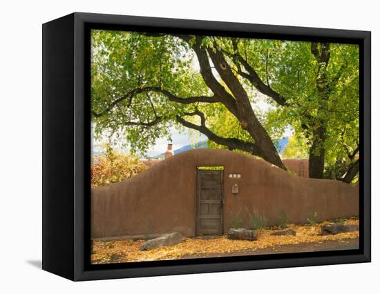 Contoured Adobe Wall, Santa Fe, New Mexico-Tom Haseltine-Framed Premier Image Canvas