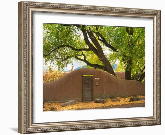 Contoured Adobe Wall, Santa Fe, New Mexico-Tom Haseltine-Framed Photographic Print