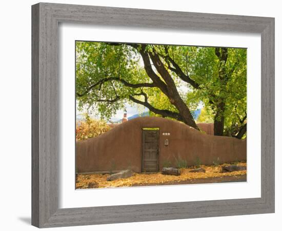 Contoured Adobe Wall, Santa Fe, New Mexico-Tom Haseltine-Framed Photographic Print