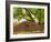 Contoured Adobe Wall, Santa Fe, New Mexico-Tom Haseltine-Framed Photographic Print