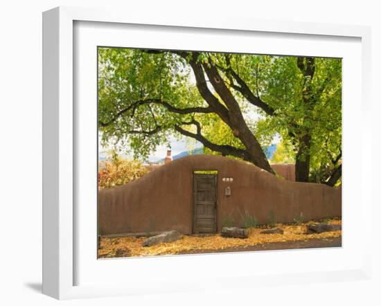 Contoured Adobe Wall, Santa Fe, New Mexico-Tom Haseltine-Framed Photographic Print