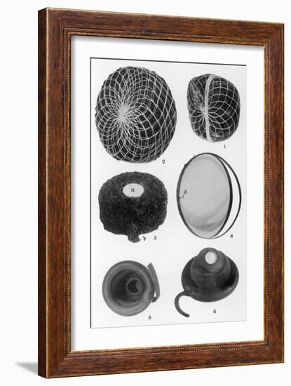 Contraception, Sponges-null-Framed Art Print