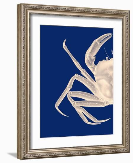 Contrasting Crab in Navy Blue a-Fab Funky-Framed Art Print