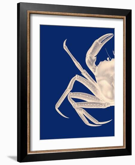 Contrasting Crab in Navy Blue a-Fab Funky-Framed Art Print