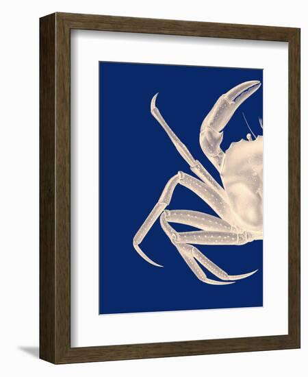 Contrasting Crab in Navy Blue a-Fab Funky-Framed Premium Giclee Print