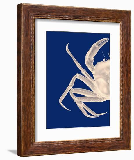 Contrasting Crab in Navy Blue a-Fab Funky-Framed Premium Giclee Print