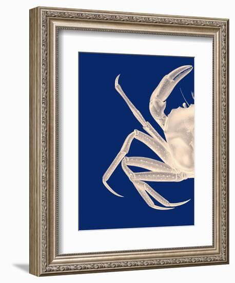 Contrasting Crab in Navy Blue a-Fab Funky-Framed Art Print