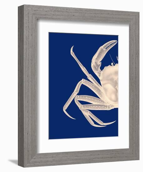 Contrasting Crab in Navy Blue a-Fab Funky-Framed Art Print