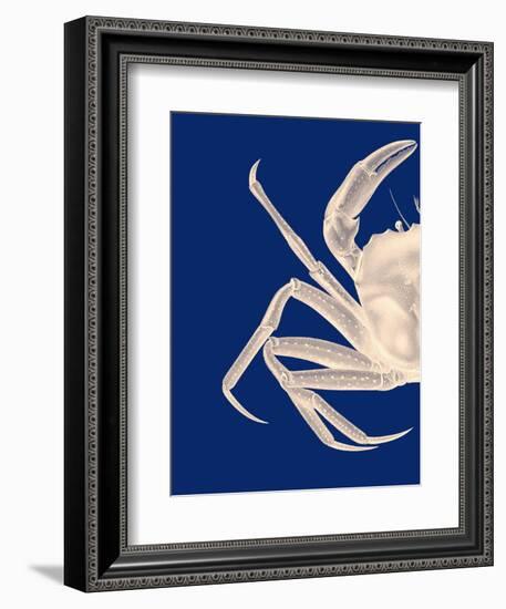 Contrasting Crab in Navy Blue a-Fab Funky-Framed Art Print