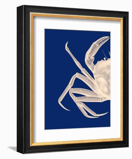 Contrasting Crab in Navy Blue a-Fab Funky-Framed Art Print