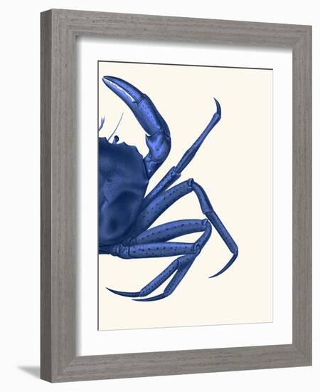 Contrasting Crab in Navy Blue b-Fab Funky-Framed Art Print