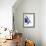 Contrasting Crab in Navy Blue b-Fab Funky-Framed Art Print displayed on a wall