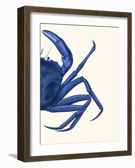 Contrasting Crab in Navy Blue b-Fab Funky-Framed Art Print