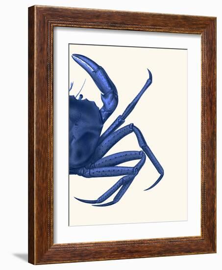 Contrasting Crab in Navy Blue b-Fab Funky-Framed Art Print