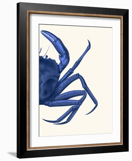 Contrasting Crab in Navy Blue b-Fab Funky-Framed Art Print