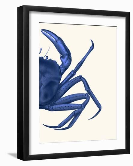 Contrasting Crab in Navy Blue b-Fab Funky-Framed Art Print