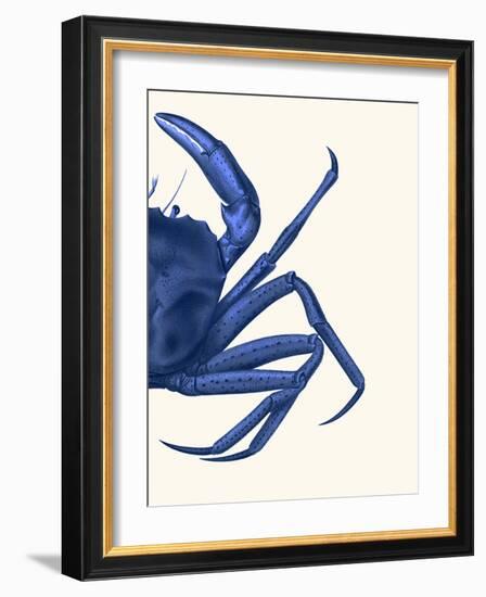 Contrasting Crab in Navy Blue b-Fab Funky-Framed Art Print