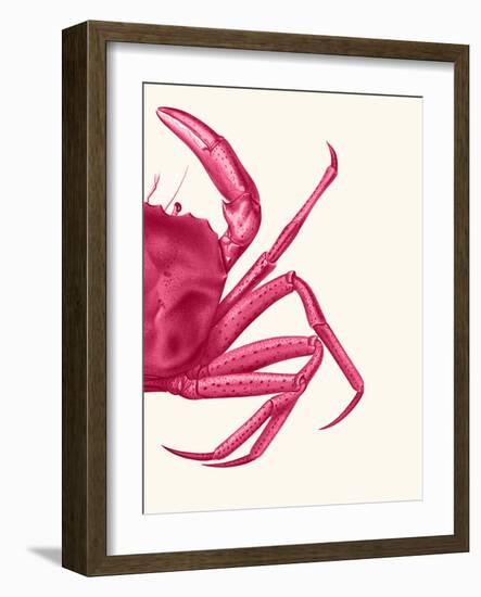 Contrasting Crab in Pink b-Fab Funky-Framed Art Print