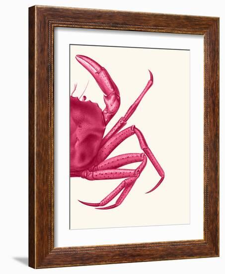 Contrasting Crab in Pink b-Fab Funky-Framed Art Print