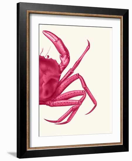 Contrasting Crab in Pink b-Fab Funky-Framed Art Print