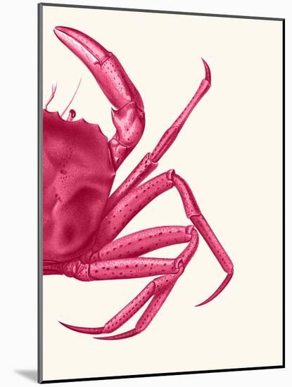 Contrasting Crab in Pink b-Fab Funky-Mounted Art Print