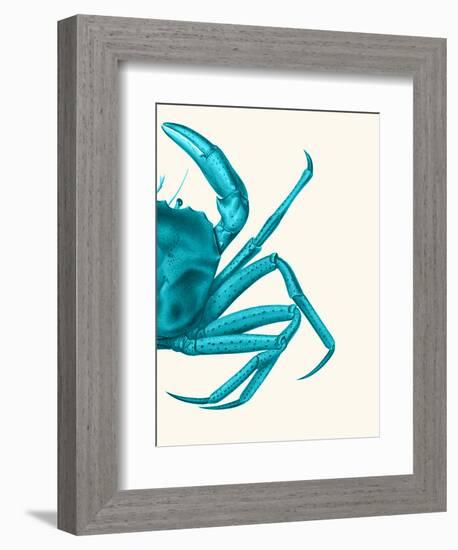 Contrasting Crab in Turquoise a-Fab Funky-Framed Art Print