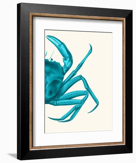 Contrasting Crab in Turquoise a-Fab Funky-Framed Art Print