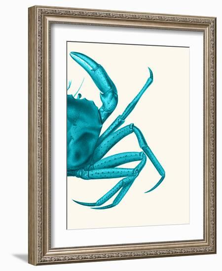 Contrasting Crab in Turquoise a-Fab Funky-Framed Art Print