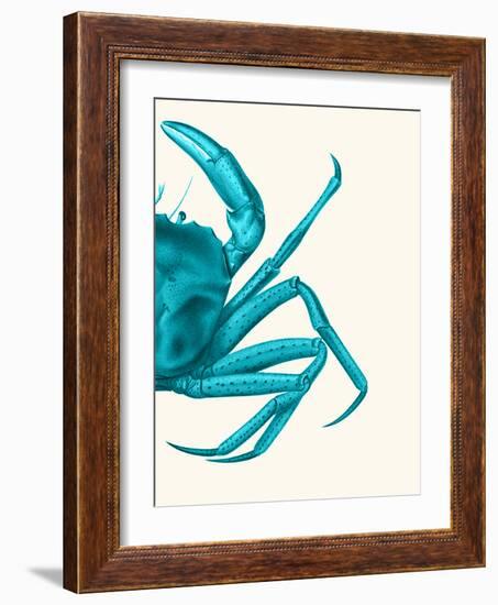 Contrasting Crab in Turquoise a-Fab Funky-Framed Art Print