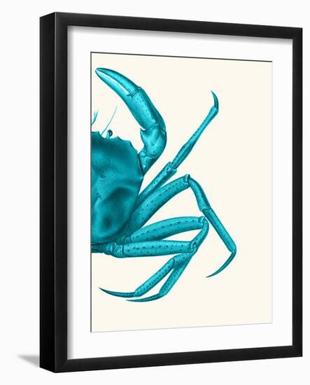 Contrasting Crab in Turquoise a-Fab Funky-Framed Art Print