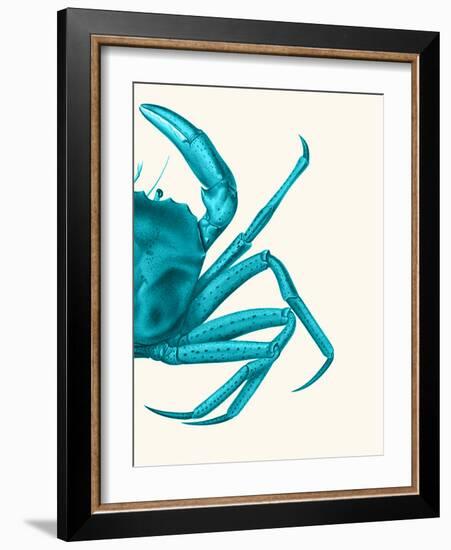 Contrasting Crab in Turquoise a-Fab Funky-Framed Art Print