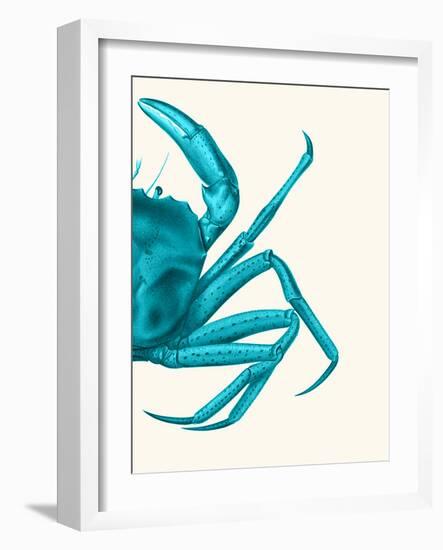 Contrasting Crab in Turquoise a-Fab Funky-Framed Art Print