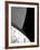 Contrasting Curves-Adrian Campfield-Framed Photographic Print