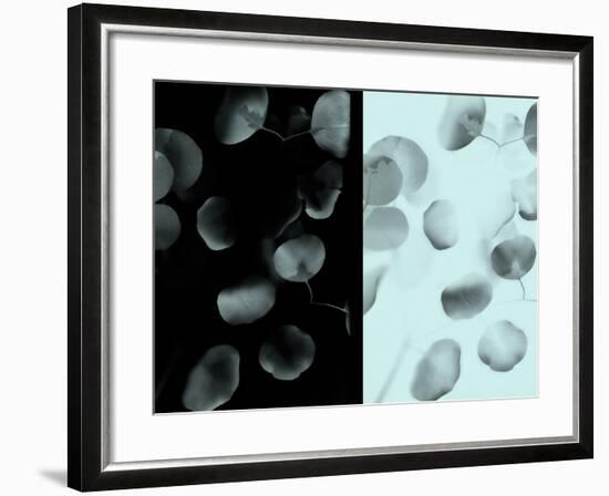 Contrasting Eucalyptus Leaves-Robert Cattan-Framed Photographic Print