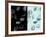 Contrasting Eucalyptus Leaves-Robert Cattan-Framed Photographic Print