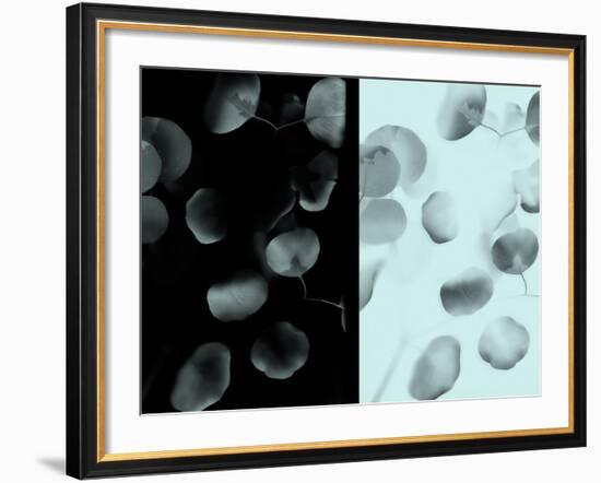 Contrasting Eucalyptus Leaves-Robert Cattan-Framed Photographic Print