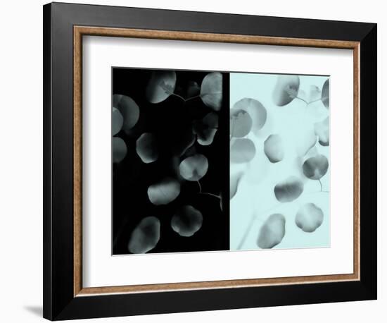 Contrasting Eucalyptus Leaves-Robert Cattan-Framed Photographic Print