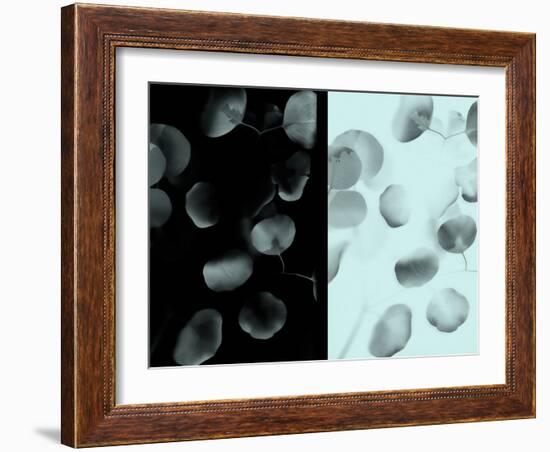 Contrasting Eucalyptus Leaves-Robert Cattan-Framed Photographic Print