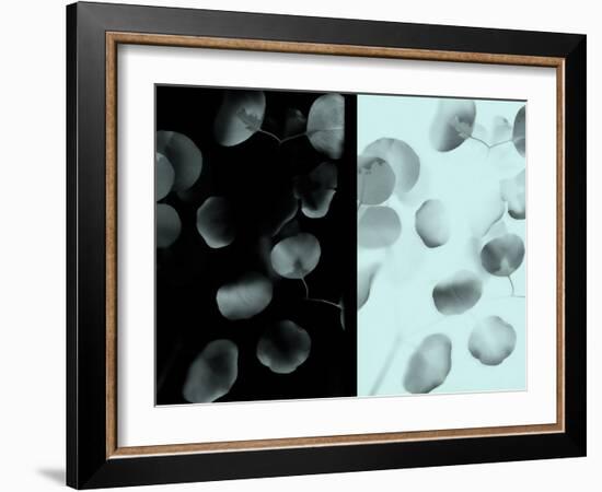 Contrasting Eucalyptus Leaves-Robert Cattan-Framed Photographic Print