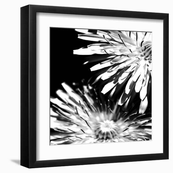 Contrastoflora I-Jean-François Dupuis-Framed Art Print