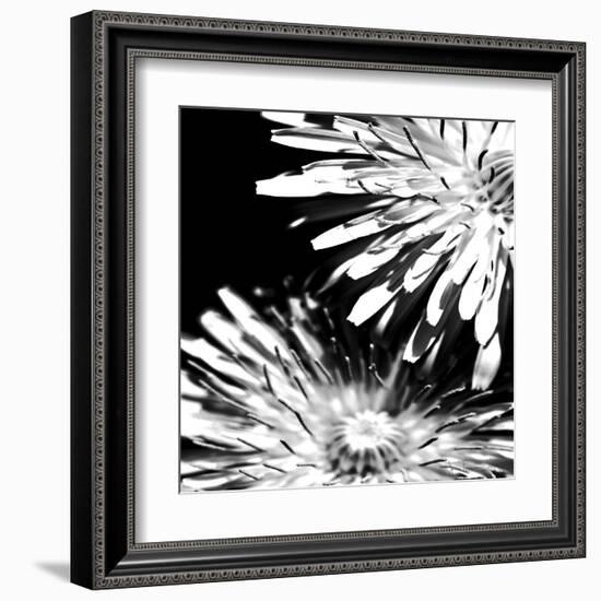 Contrastoflora I-Jean-François Dupuis-Framed Art Print