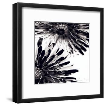 Contrastoflora II-Jean-François Dupuis-Framed Art Print