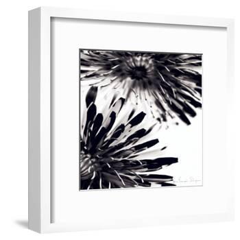 Contrastoflora II-Jean-François Dupuis-Framed Art Print