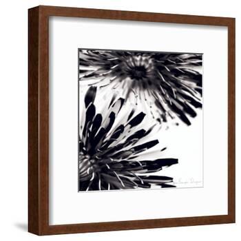 Contrastoflora II-Jean-François Dupuis-Framed Art Print