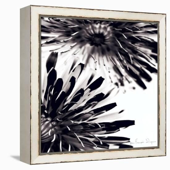 Contrastoflora II-Jean-François Dupuis-Framed Stretched Canvas