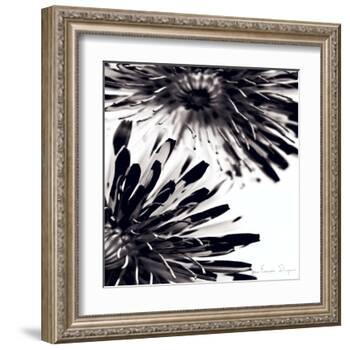 Contrastoflora II-Jean-François Dupuis-Framed Art Print