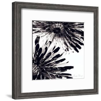 Contrastoflora II-Jean-François Dupuis-Framed Art Print
