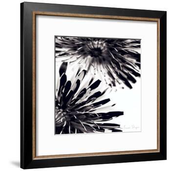 Contrastoflora II-Jean-François Dupuis-Framed Art Print