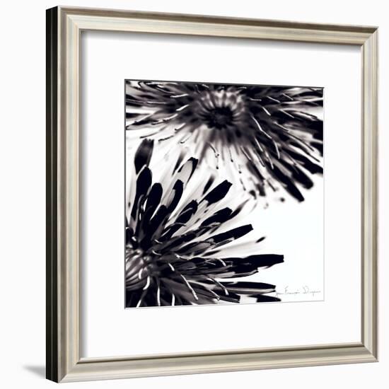 Contrastoflora II-Jean-François Dupuis-Framed Art Print